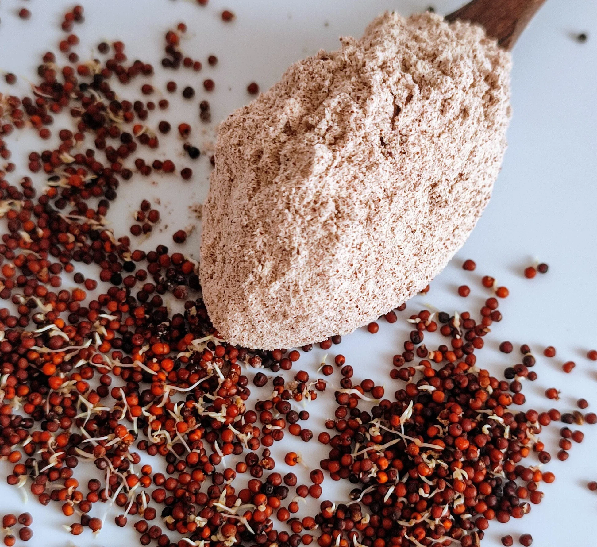 Sprouted ragi mix